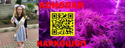 индика Нарткала