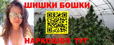 индика Нарткала