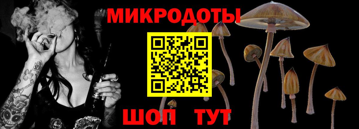 Галлюциногенные грибы Magic Shrooms Прохладный